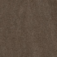 Стільниця Pfleiderer 62008 FG (6457) Сахара, 4100х600х38